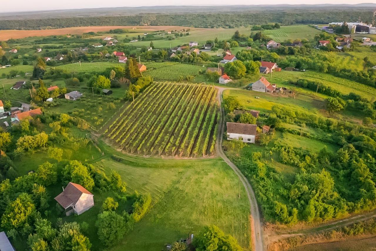 Village Wine House Mandicevac エクステリア 写真