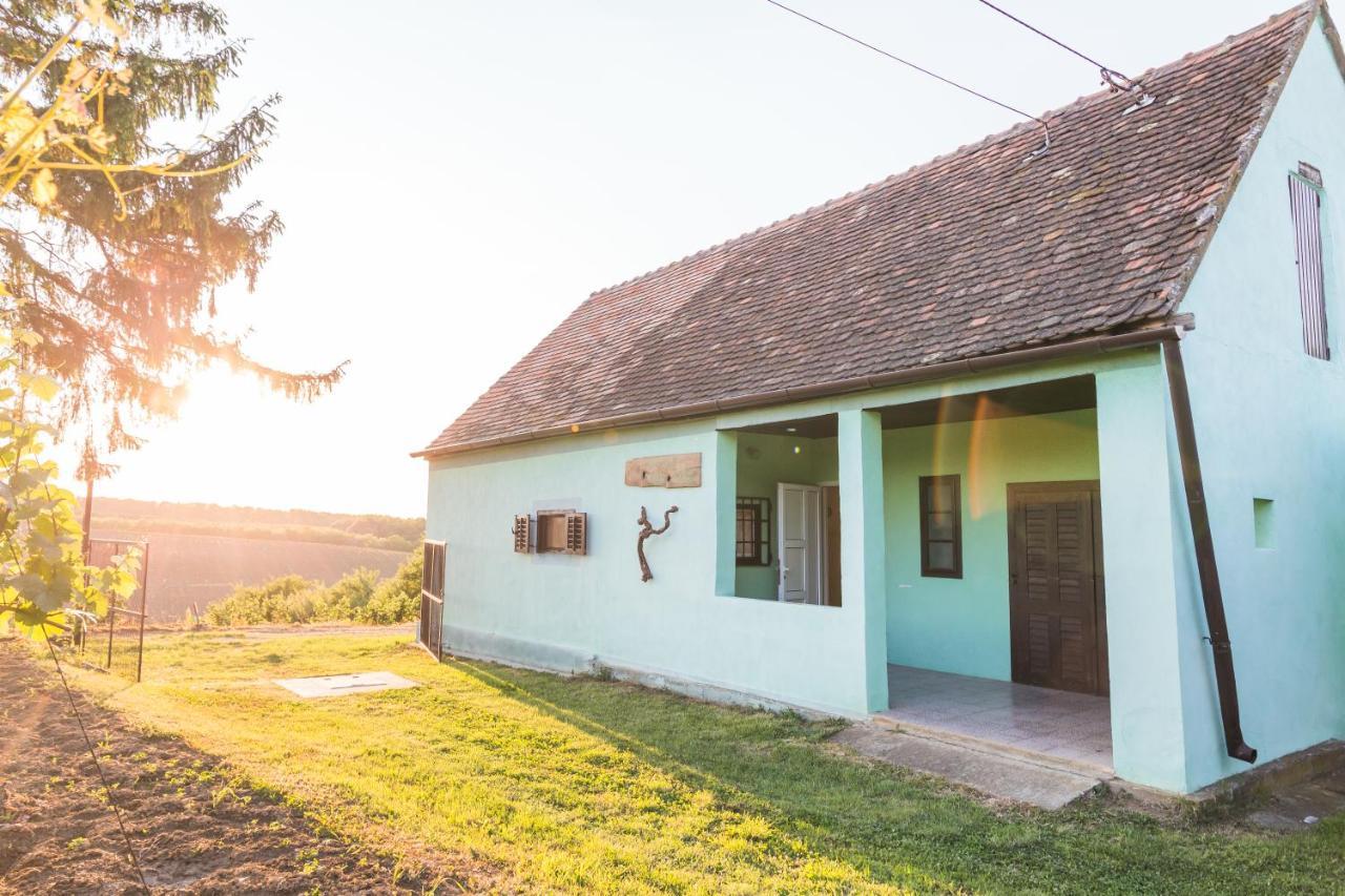 Village Wine House Mandicevac エクステリア 写真