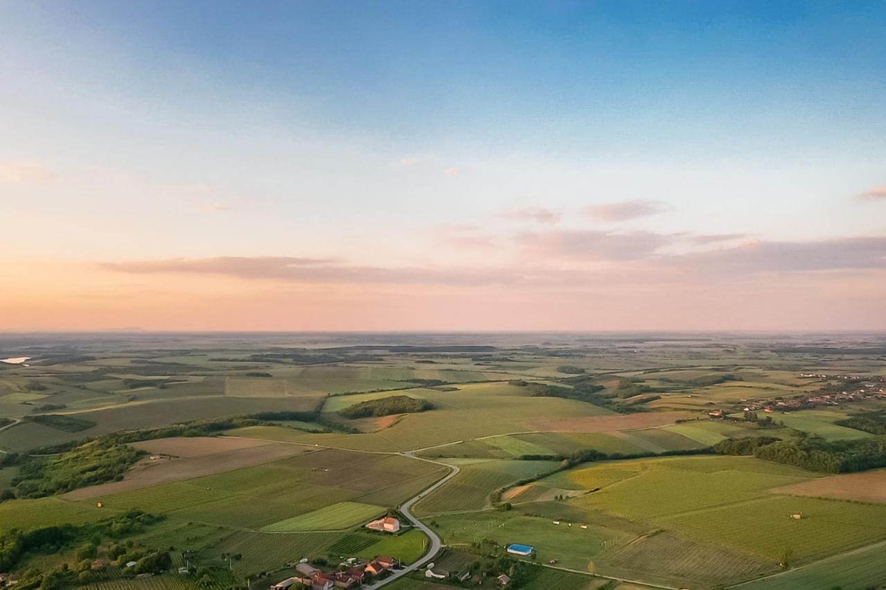 Village Wine House Mandicevac エクステリア 写真