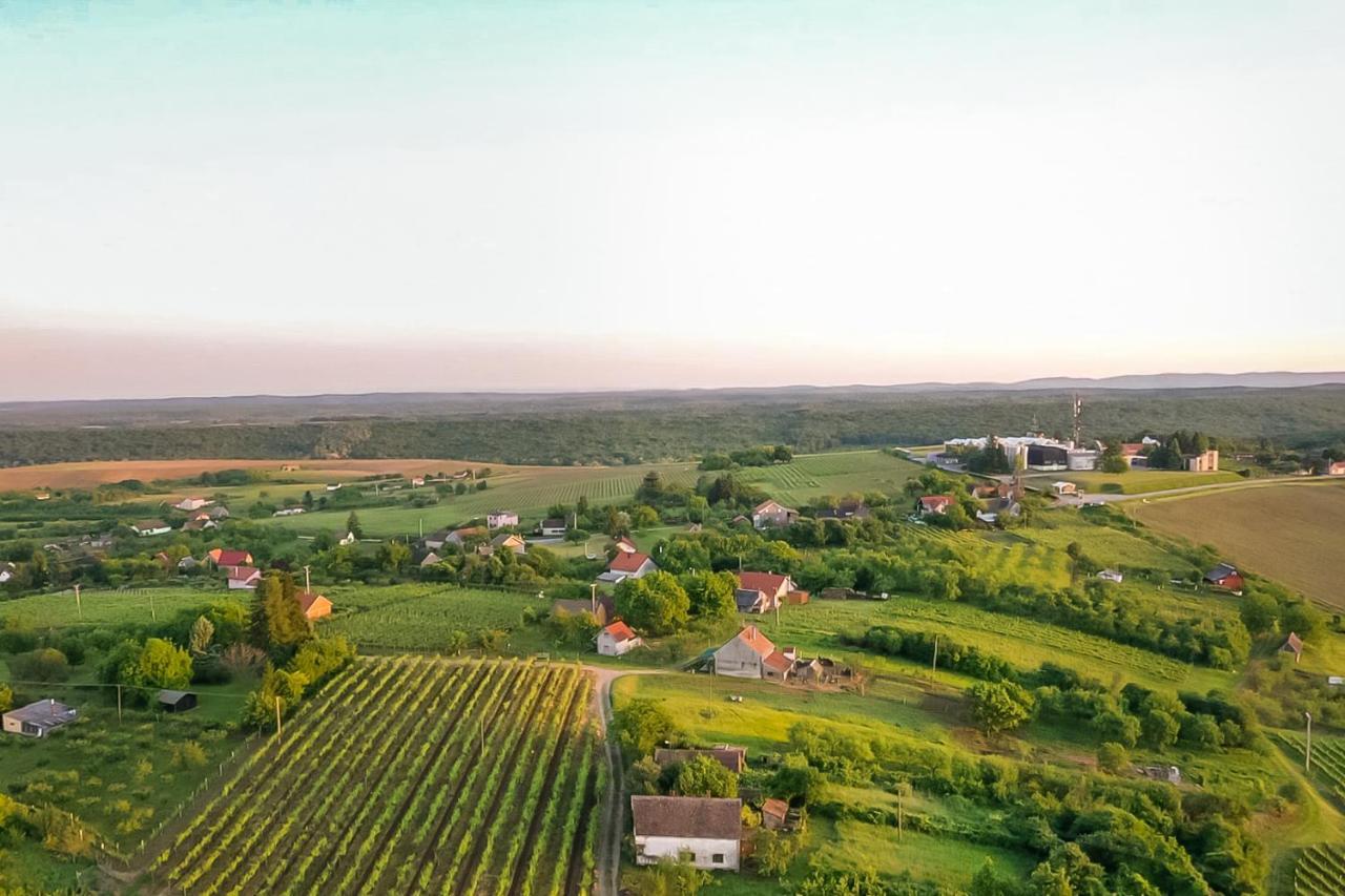 Village Wine House Mandicevac エクステリア 写真