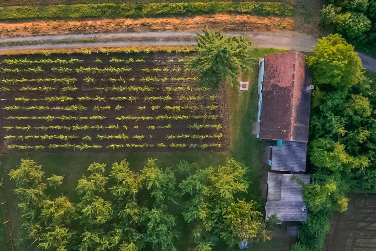 Village Wine House Mandicevac エクステリア 写真