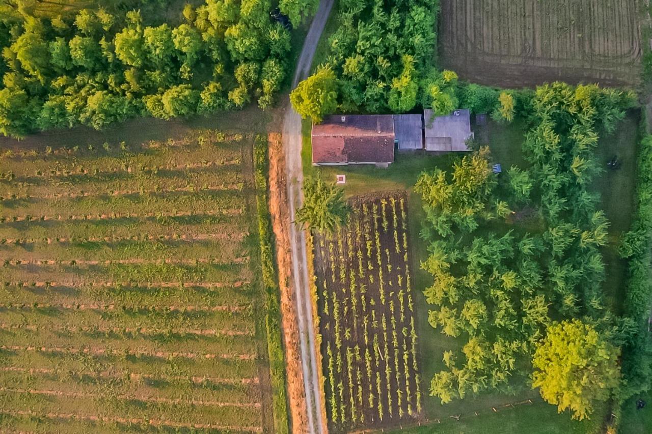Village Wine House Mandicevac エクステリア 写真