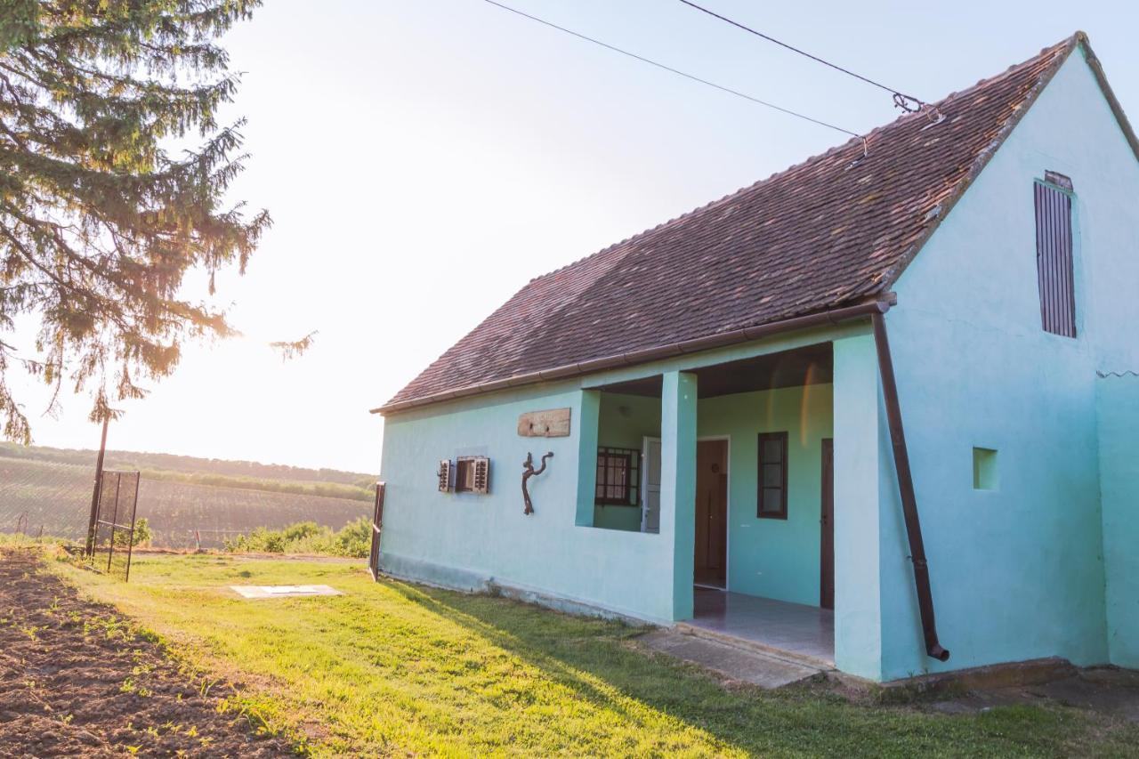 Village Wine House Mandicevac エクステリア 写真