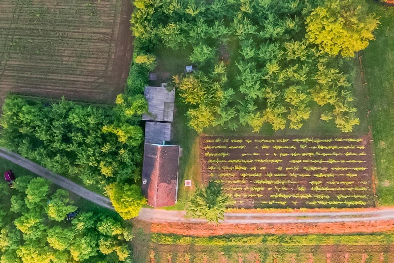 Village Wine House Mandicevac エクステリア 写真