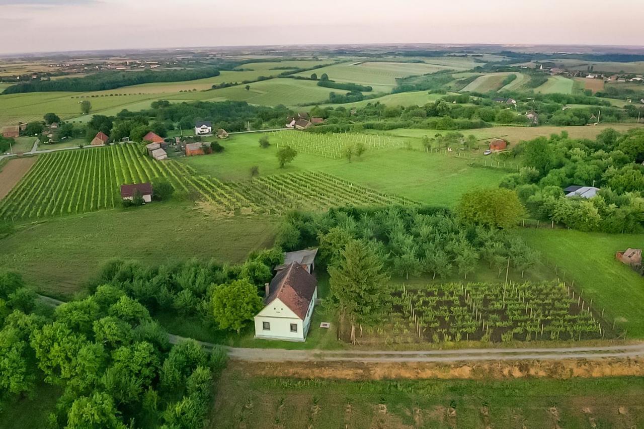 Village Wine House Mandicevac エクステリア 写真