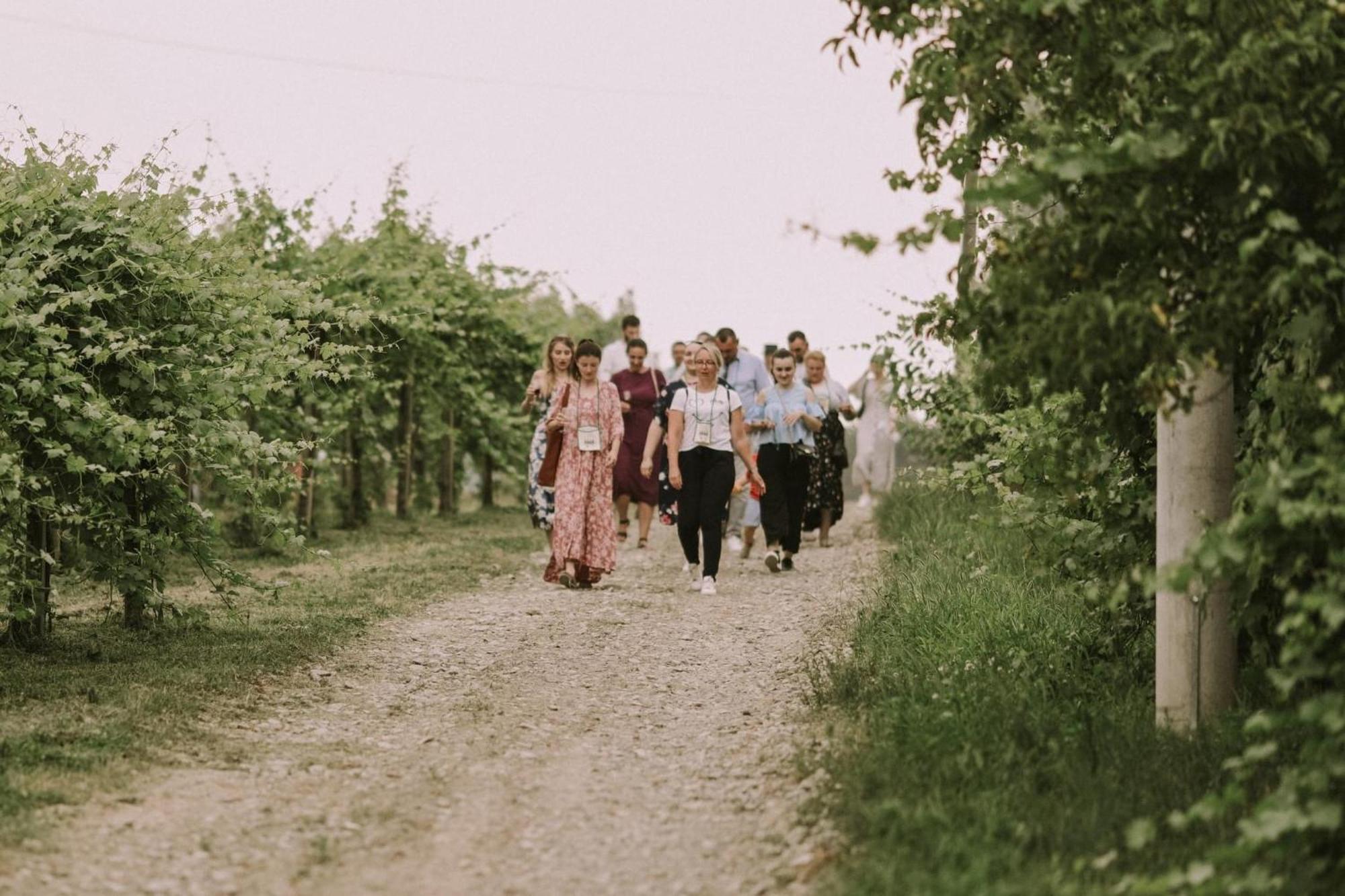 Village Wine House Mandicevac エクステリア 写真